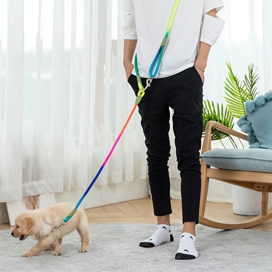 Chiot tenu en laisse pour chien mains libres par un homme