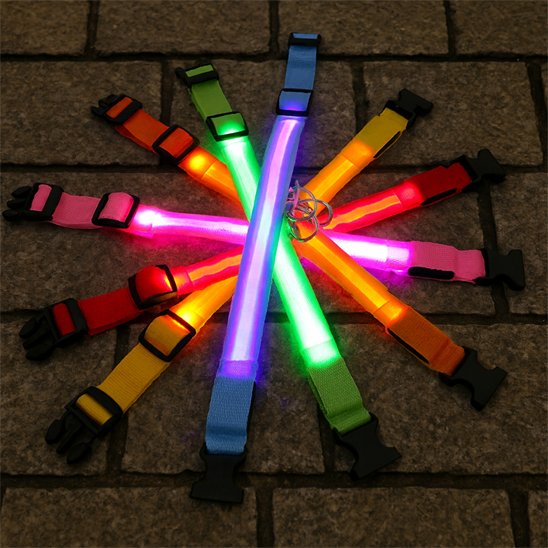 Colliers lumineux pour chien de diverses couleurs
