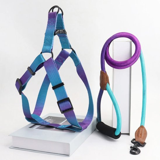 Harnais chien violet bleu