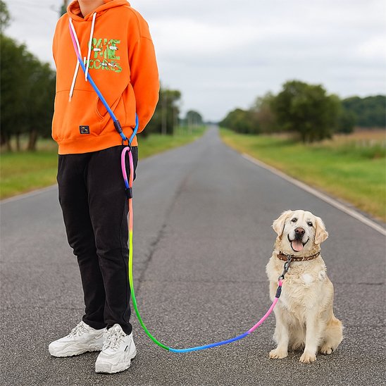 Homme et chien Golden Retriever en promenade avec une laisse pour chien mains libres