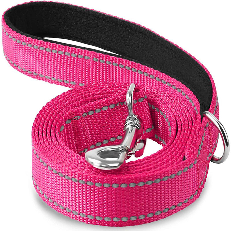LAISSE POUR CHIEN: CANIFLEX