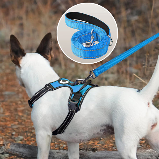 LAISSE POUR CHIEN: CANIFLEX