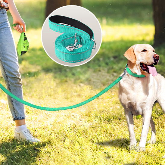 LAISSE POUR CHIEN: CANIFLEX