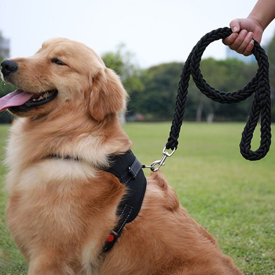 Laisse pour chiens Golden Retriever Nylon noir