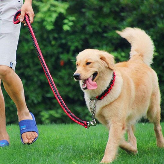 Laisse pour chiens Nylon rouge, noir