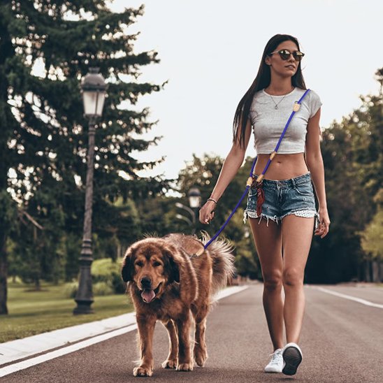 Marche active au parc chien avec une laisse double pour chien bleu et sa maitresse
