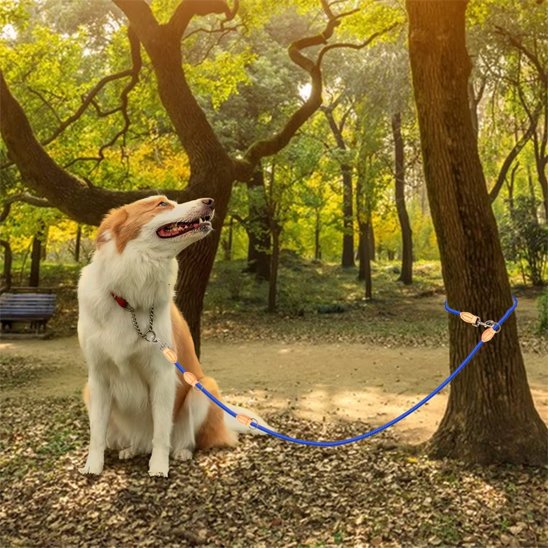 chien avec la double laisse pour chien bleu assis dans un parc