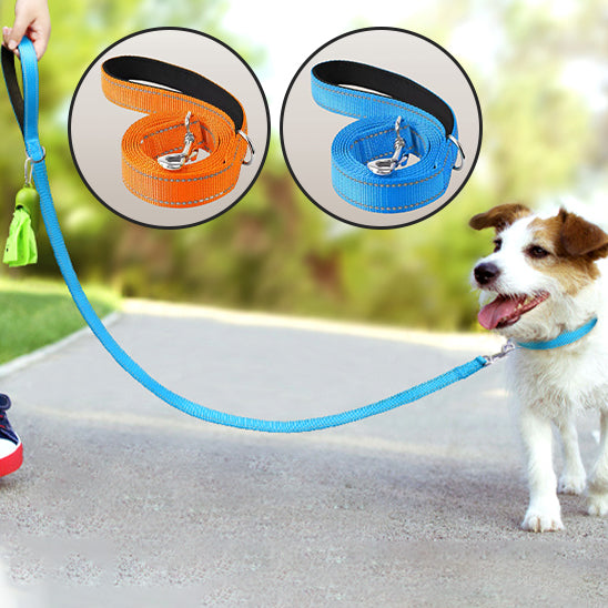 LAISSE POUR CHIEN: CANIFLEX