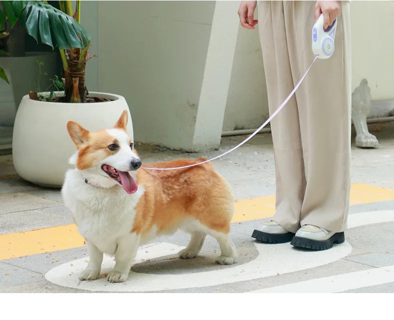 laisse pour chien enrouleur couleur violette
