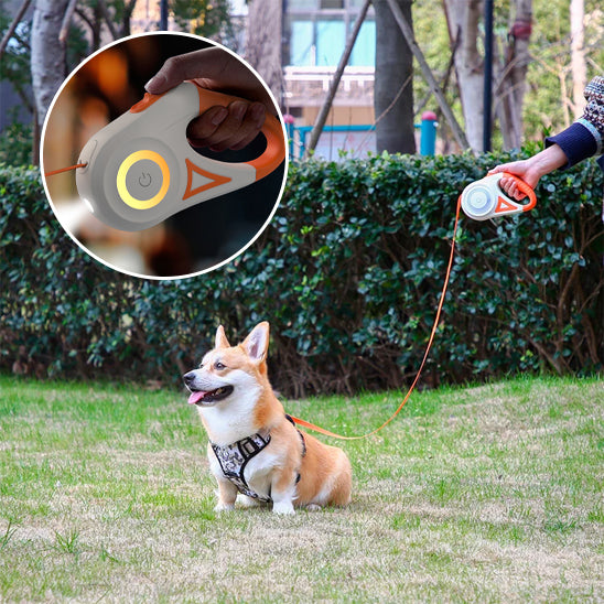 laisse pour chien enrouleur orange dans un parc