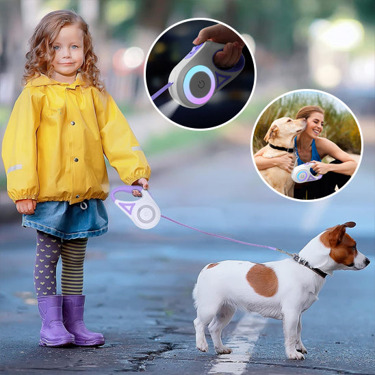 laisse pour chien enrouleur violet avec fillette