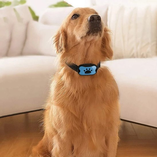 Collier de dressage pour Chien | Vibrasonic