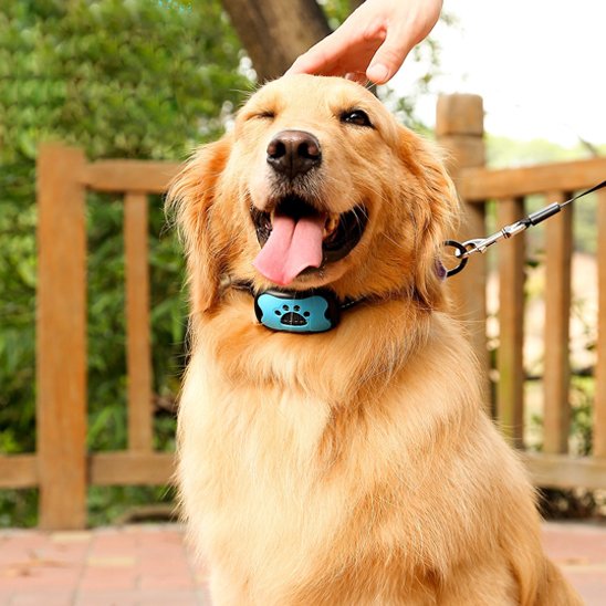 Collier de dressage pour Chien | Vibrasonic