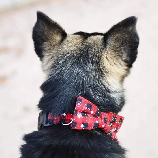 Collier pour chien Noël / Balade Sécurisée