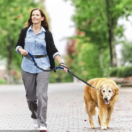 Femme avec chien tenu en laisse mains libres pour chiens