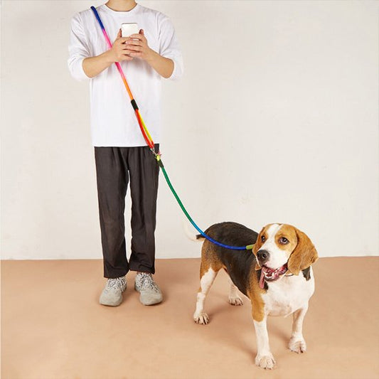 Homme promenant son chien avec une laisse pour chien mains libres 