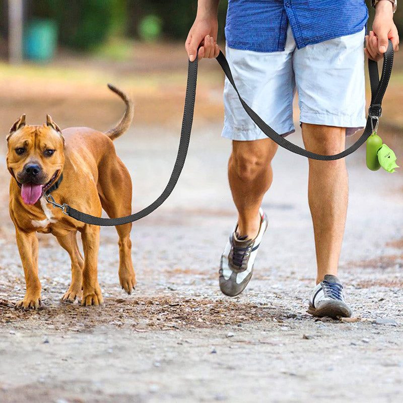 LAISSE POUR CHIEN: CANIFLEX