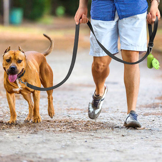 LAISSE POUR CHIEN: CANIFLEX