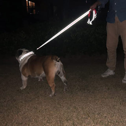 LAISSE POUR CHIEN: CANIFLEX
