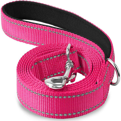 LAISSE POUR CHIEN: CANIFLEX