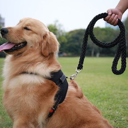 Laisse pour chiens Golden Retriever Nylon noir