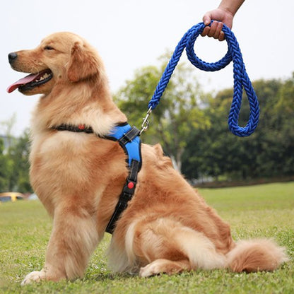 Laisse pour chiens Nylon bleu