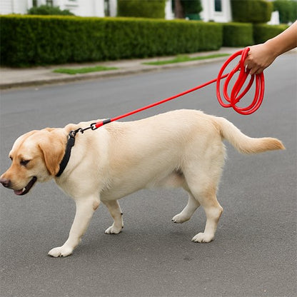 Promenade chien tenu en longe pour chien rouge