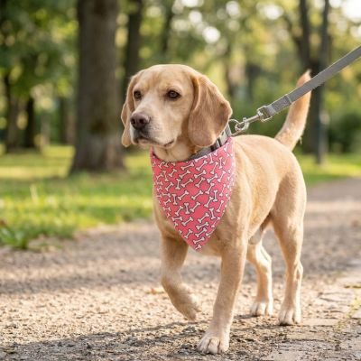 Bandana pour Chien