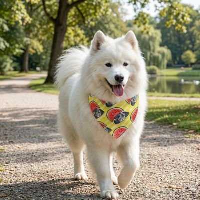 Bandana pour Chien