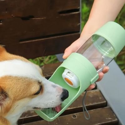 Gourde pour Chien