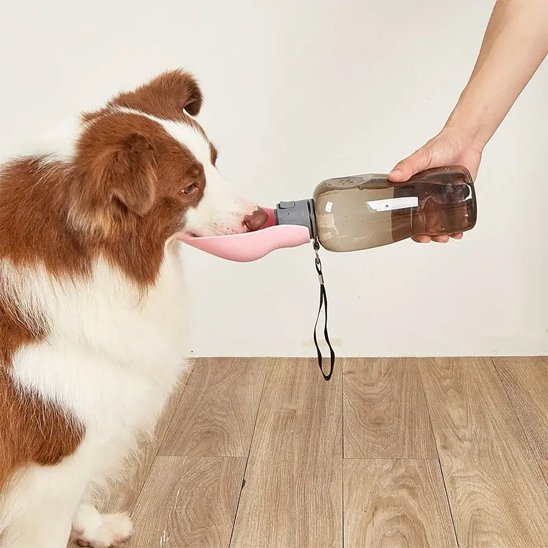 Gourde pour chien​