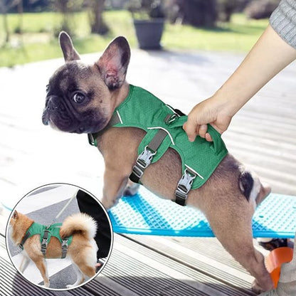Harnais pour chien