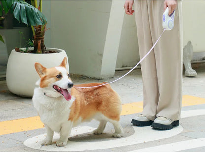 laisse pour chien enrouleur couleur violette