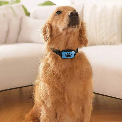 Collier de dressage pour Chien | Vibrasonic