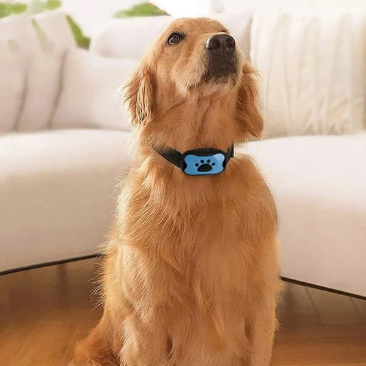 Collier de dressage pour Chien | Vibrasonic