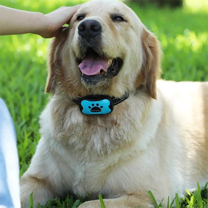 Collier de dressage pour Chien | Vibrasonic