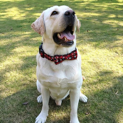 Collier pour chien Noël / Balade Sécurisée